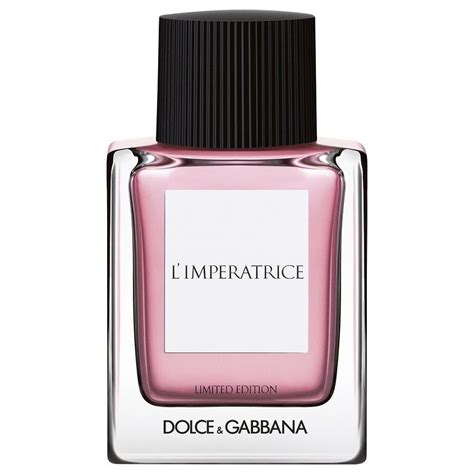 dolce gabbana perfume limited edition|dolce and gabbana perfume sale.